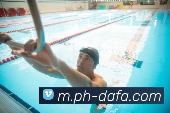 大发彩票平台生态图